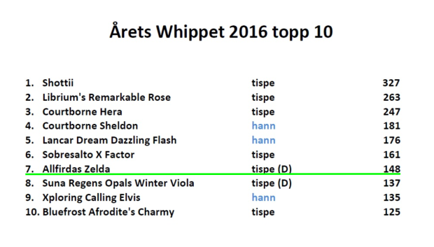 a%cc%8arets-whippet-topp-10-2016